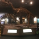 Delaware Museum of Natural History