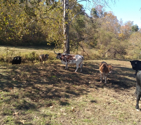 White Oak Pumpkin Patch - West Liberty, KY