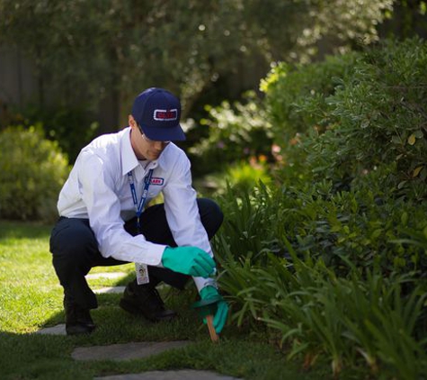 Clark Pest Control - Anaheim, CA