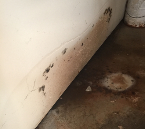 Paul Davis Emergency Services of Enterprise, AL - Enterprise, AL. Mold due to leaking HVAC