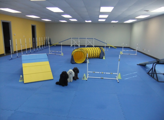 Paws 4 Fun Dog Agility - Owatonna, MN