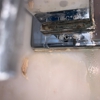 Alexandria Plumbing Pro Services gallery