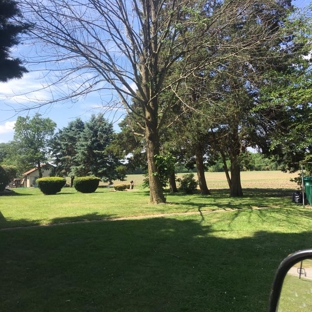 AAA Tree Service - Granville, IL