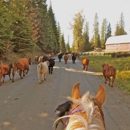 Western Pleasure Guest Ranch - Ranches