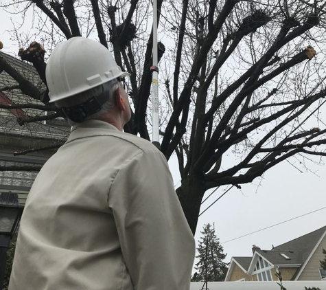 The Tree-Man Tree Service Co - Egg Harbor Township, NJ