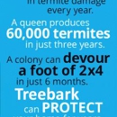 Treebark Termite & Pest Control - Pest Control Services