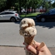 Mount Desert Island Ice Cream