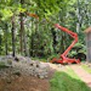 AAA Tree Experts - Arborists