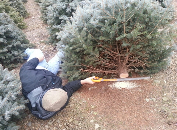 Yenser's Tree Farm - Lehighton, PA