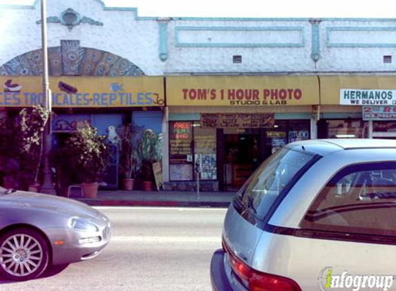 Tom's One Hour & Lab - Los Angeles, CA