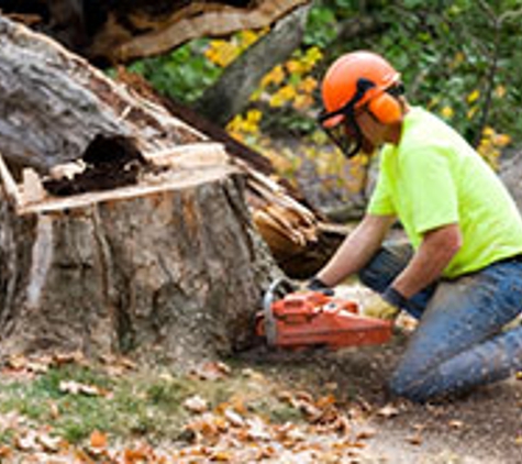 Battiste  Tree Service - Theodore, AL