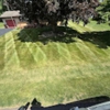 Top Dog Landscaping gallery
