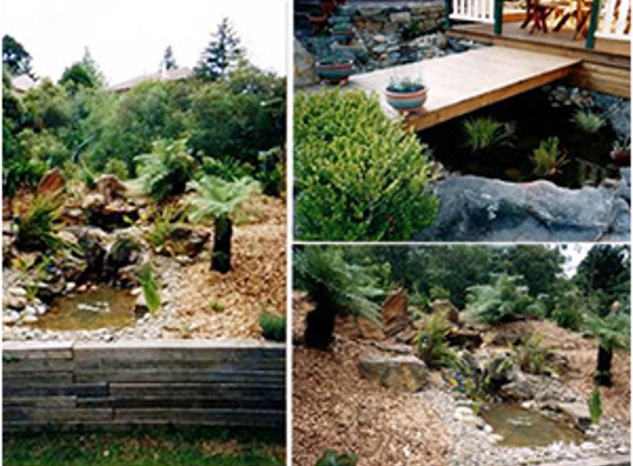 Hayden Cairns Landscapes - Lawson, NSW