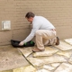 Evolve Pest Control