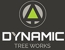 Dynamic Tree Works - Tree & Stump Removal Services