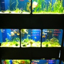The Reef Aquarium Shop - Pet Stores