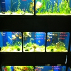 The Reef Aquarium Shop