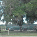 Belleview Elementary School - Elementary Schools