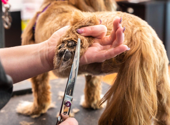 A Cut Above Pet Stylists - New York, NY