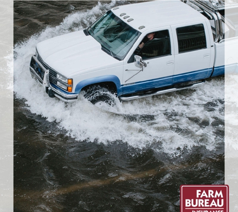 Farm Bureau Insurance - Georgetown, SC