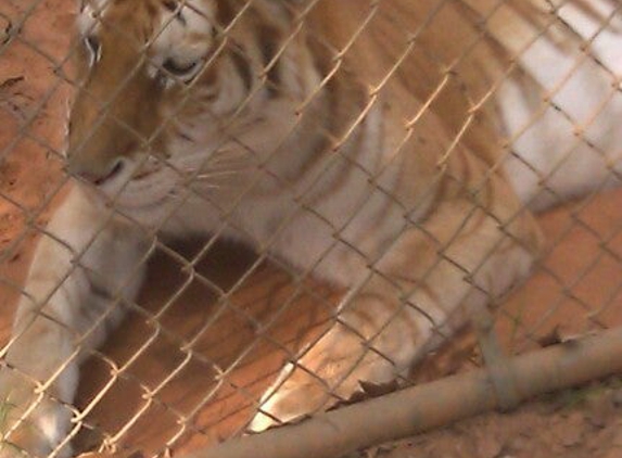 Tiger Creek Wildlife Refuge - Tyler, TX