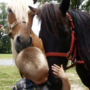 About Town Pony Rides - Pony Rides