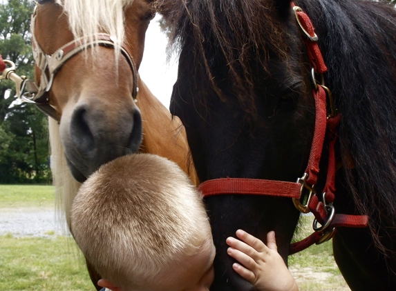 About Town Pony Rides - Indian Trail, NC