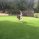 Pacific Grass & Turf - Sod & Sodding Service
