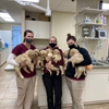 Ammon Veterinary Hospital gallery