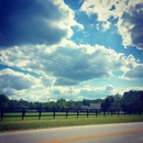 Penny Road Elementary School - Elementary Schools