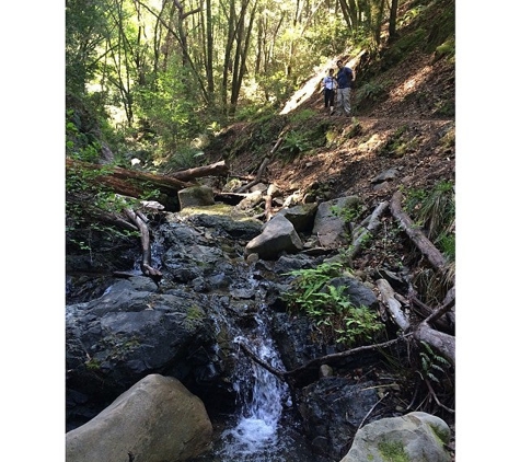 Uvas Canyon County Park - Morgan Hill, CA