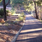 Gallery Image Number 5