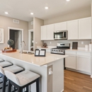 Stonewater Single Family Ranch by D.R. Horton - Home Builders