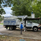 Mel's Tree Service