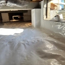 CleanCrawl - Mold Remediation