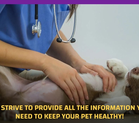 Orchard Hills Veterinary Hospital. We Strive To Provide All The Information You Need To Keep Your Pet Healthy!