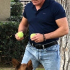 Phoenix Dog Training And Behavior Center