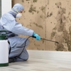 Mold Remediation of Orlando gallery