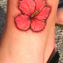 Skin Deep Tattoo-Key West - Tattoos
