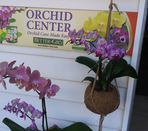 Brevard  Screen Repair & Orchids - Titusville, FL