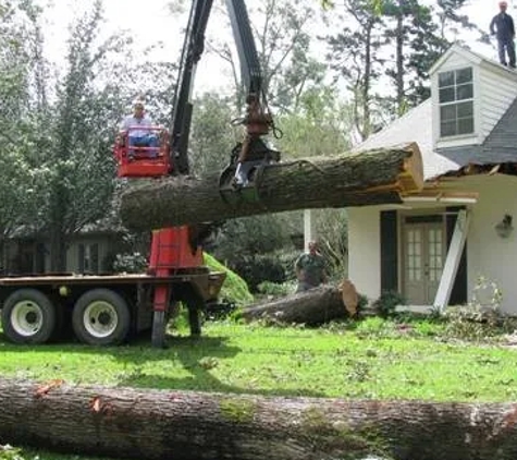 McClain's Tree Experts