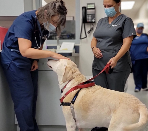 VCA St. Mary's Animal Hospital - Lexington Park, MD