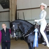 Equestrian Elite at Apple Jack Farm gallery