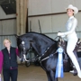 Equestrian Elite at Apple Jack Farm