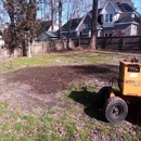 The Whole 9 Tree Service - Tree Service