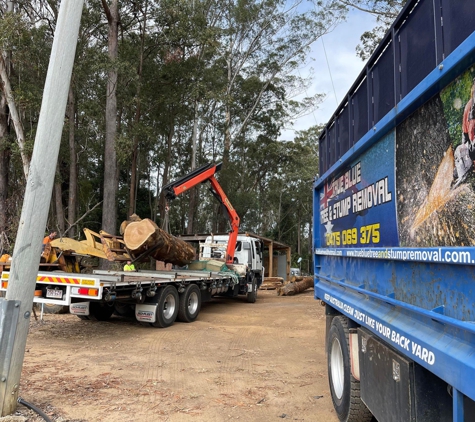 True Blue Tree and Stump Removal - Glass House Mountains, QLD