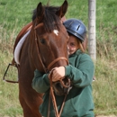 Greenhaven Farm - Horse Training