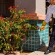 Truly Nolen