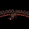 10,000 Wags Pet Resort gallery