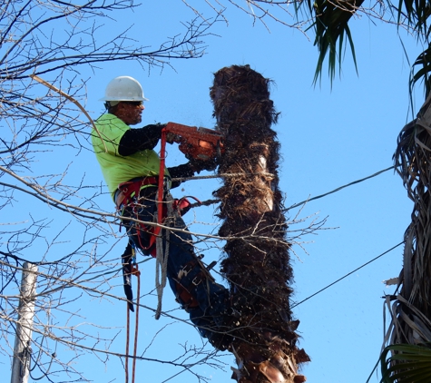 clark's tree works